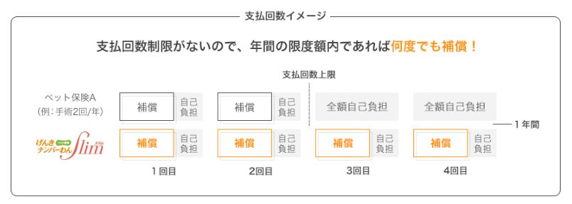 ペット セール & ファミリー プラン 80 オンライン 契約